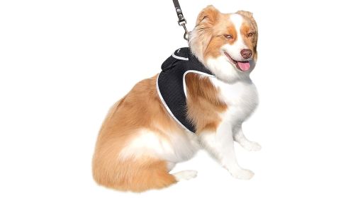 GSM GPS Wireless Pet Tracker for Cat/Dog Security Protection Tracking Size:S