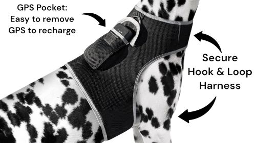 NEW Mini GPS GSM Pet Tracker Locator Alarm Cat Dog Protection Security Size:XS
