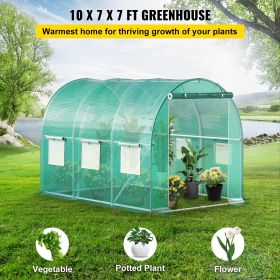Walk-in Tunnel Greenhouse, 9.8 x 6.6 x 6.6 ft Portable Plant Hot House with Galvanized Steel Hoops, 1 Top Beam, Diagonal Poles